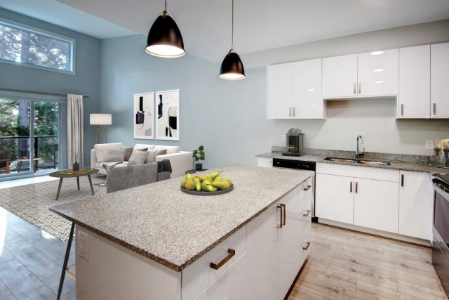 Appartement 4 1/2 Victoria 2 575 $/mois. Appartement à louer Victoria