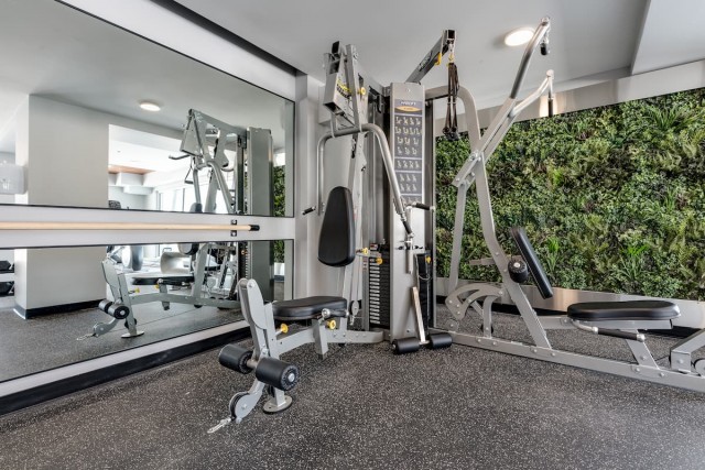 Ottawa Apartment 1 b. $1,985/month. Apartment for rent in Ottawa