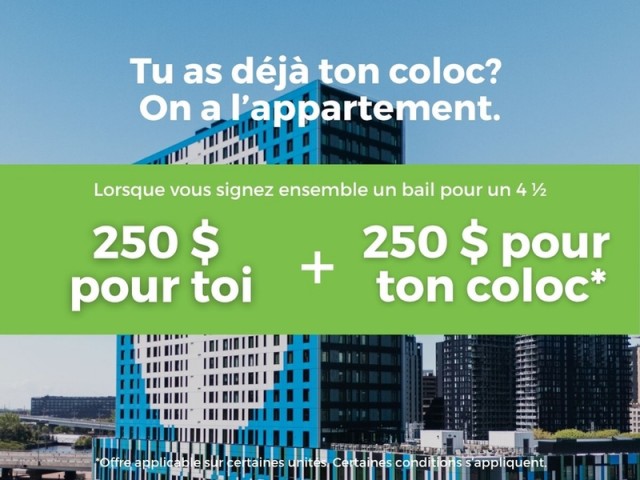 Old Montreal Apartment Studio $1,415/month. Apartment for rent in Old Montreal
