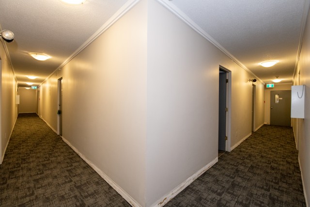 Appartement 1 1/2 Victoria 1 595 $/mois. Appartement à louer Victoria