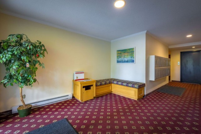 Appartement 1 1/2 Victoria 1 610 $/mois. Appartement à louer Victoria