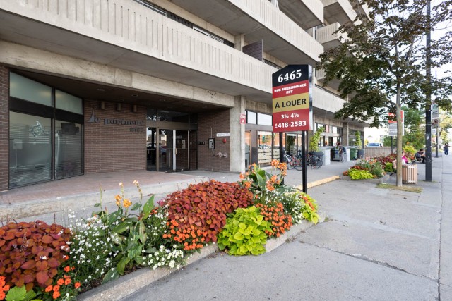 Appartement 2 1/2 Nouveau-Rosemont et Mercier 1 275 $/mois. Appartement à louer Nouveau-Rosemont et Mercier