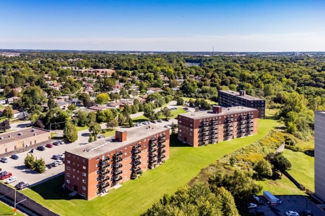 Appartement 2 1/2 London 1 500 $/mois. Appartement à louer London