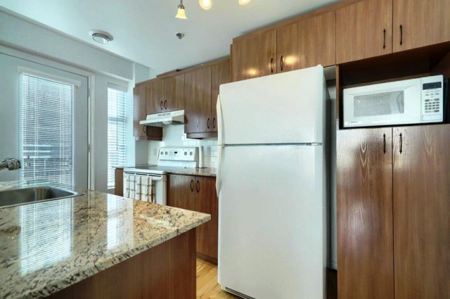 Downtown - Montreal  1 b. $93/day. Apartment for rent in Downtown - Montreal