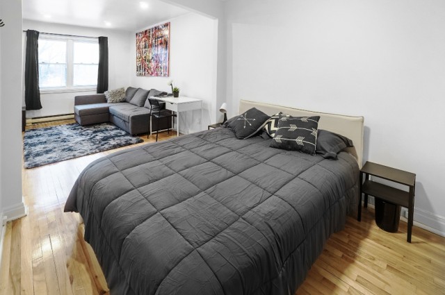 Hochelaga-Maisonneuve  1 b. $54/day. Apartment for rent in Hochelaga-Maisonneuve