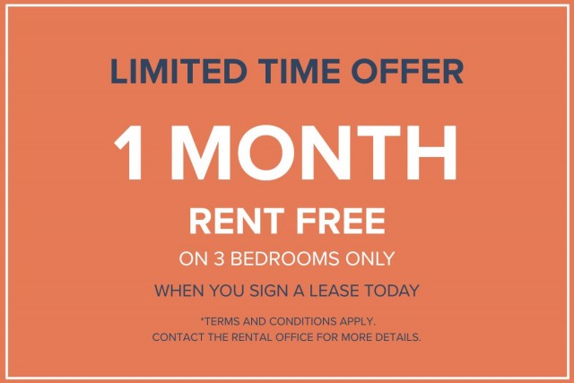 Appartement 3 1/2 Vancouver 2 995 $/mois. Appartement à louer Vancouver