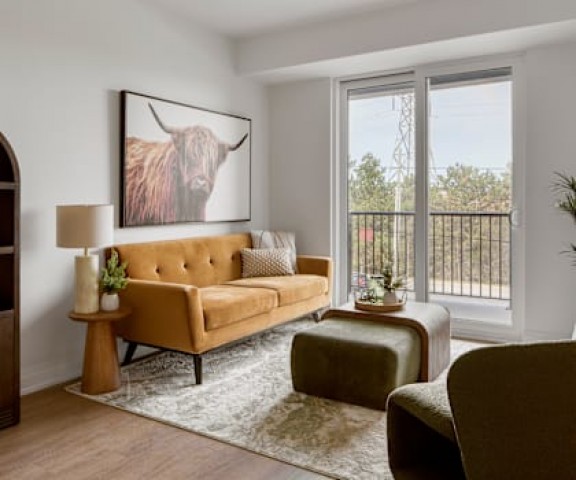 Waterloo Apartment 2 b. $2,375/month. Apartment for rent in Waterloo