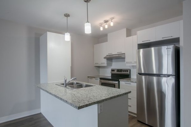 Appartement 2 1/2 Plateau Mont-Royal 1 495 $/mois. Appartement à louer Plateau Mont-Royal