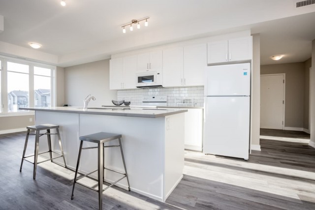 Appartement 4 1/2 Ottawa 2 420 $/mois. Appartement à louer Ottawa