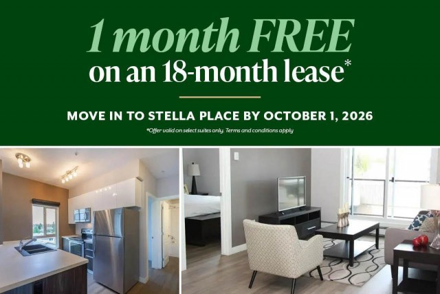 Appartement 2 1/2 Edmonton 1 445 $/mois. Appartement à louer Edmonton
