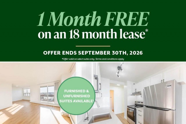 Appartement 2 1/2 Calgary 1 534 $/mois. Appartement à louer Calgary