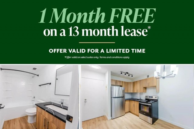 Calgary Apartment 1 b. $1,330/month. Apartment for rent in Calgary