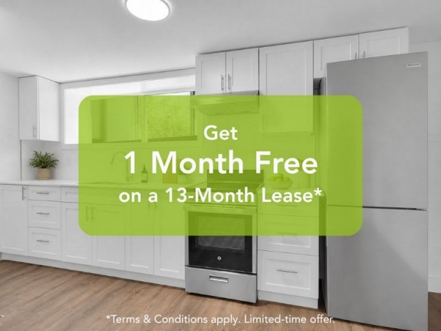 London Apartment 2 b. $1,425/month. Apartment for rent in London