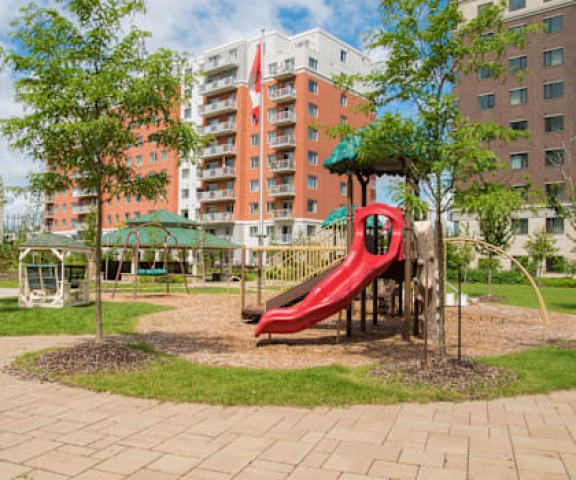 Appartement 2 1/2 Ottawa 2 375 $/mois. Appartement à louer Ottawa