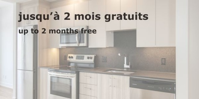 Appartement 5 1/2 Plateau Mont-Royal 2 995 $/mois. Appartement à louer Plateau Mont-Royal