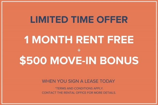 Calgary Apartment 1 b. $1,350/month. Apartment for rent in Calgary