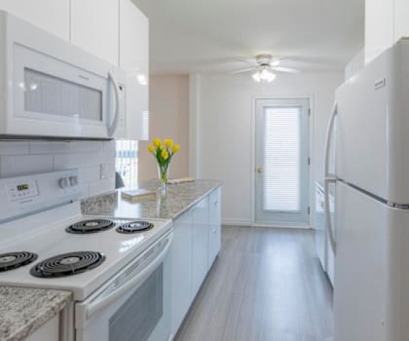 Appartement 2 1/2 Moncton 1 250 $/mois. Appartement à louer Moncton