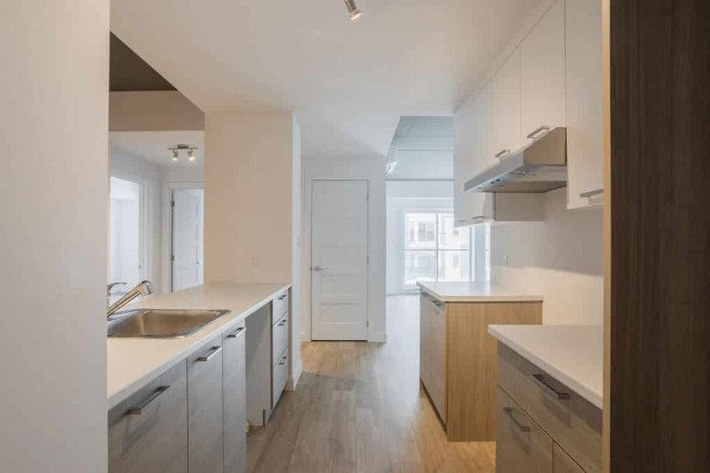 Appartement 5 1/2 Saint-Henri 1 795 $/mois. Appartement à louer Saint-Henri