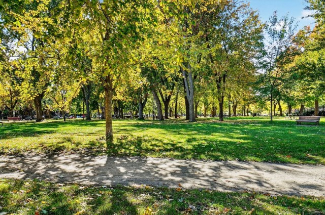  4 1/2 Plateau Mont-Royal 95 $/jour. Appartement à louer Plateau Mont-Royal