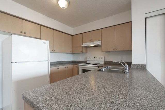 Appartement 2 1/2 Ville-Mont-Royal 1 750 $/mois. Appartement à louer Ville-Mont-Royal