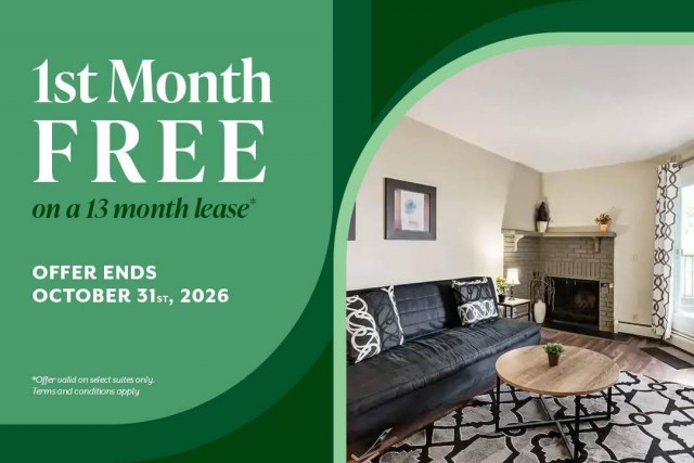 Calgary Apartment 1 b. $1,520/month. Apartment for rent in Calgary