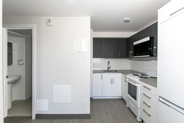 Plateau Mont-Royal Apartment 1 b. $1,350/month. Apartment for rent in Plateau Mont-Royal