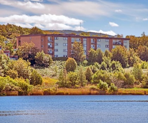 Newfoundland-Labrador Apartment 1 b. $1,250/month. Apartment for rent in Newfoundland-Labrador