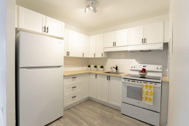 Appartement 2 1/2  1 195 $/mois. Appartement à louer 