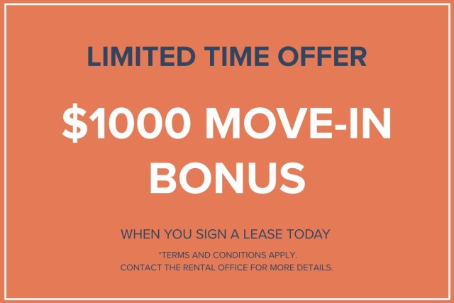Calgary Apartment Studio $1,650/month. Apartment for rent in Calgary