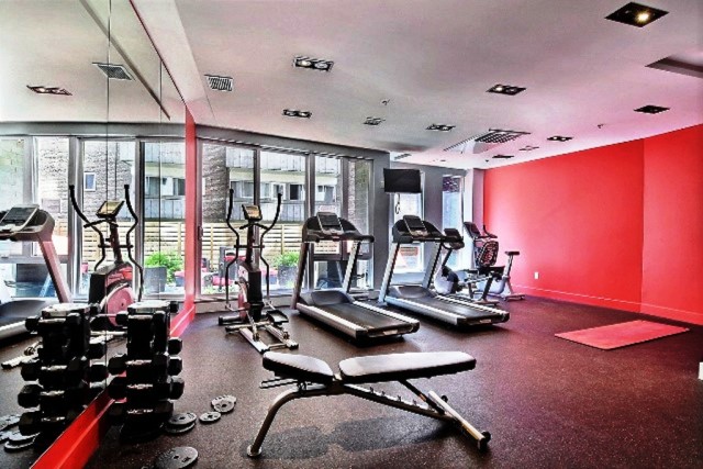 Old Montreal  1 b. $84/day. Apartment for rent in Old Montreal