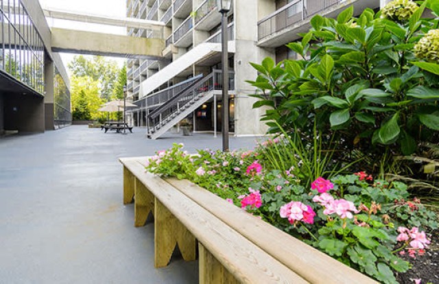 Vancouver Apartment Studio $1,595/month. Apartment for rent in Vancouver
