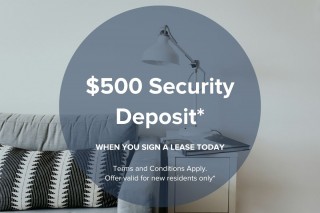 Property #180137
