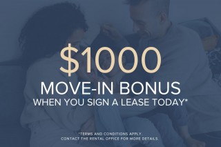 Property #180260