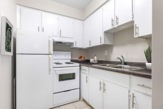 Property #195862