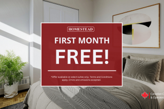 Property #204369