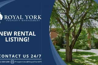 Property #204646