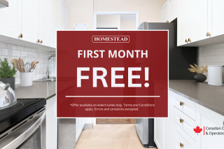 Property #204496