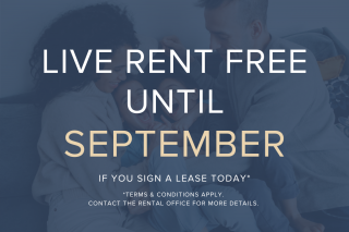 Property #180397