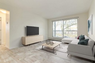 Property #206486