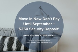 Property #180449