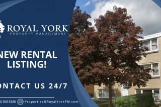 Property #206769