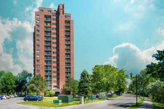 Property #194138