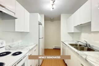 Property #206147
