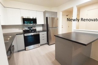 Property #195578