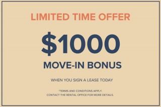 Property #180387
