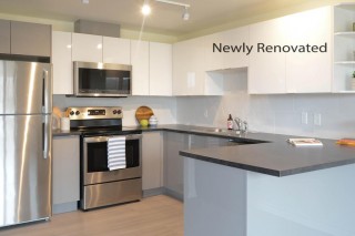 Property #181830