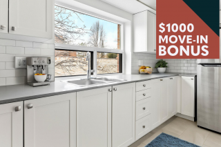 Property #209680