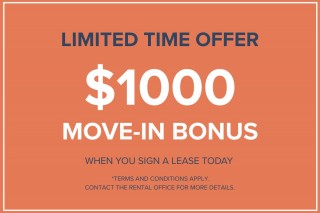 Property #180397