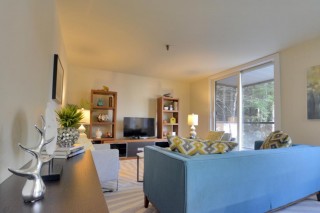 Property #205010