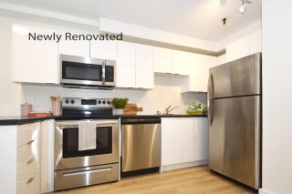 Property #203049
